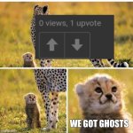 Someone teach me this trick | WE GOT GHOSTS | image tagged in cheetah mom with scared cub,imgflip,upvotes,views,memes | made w/ Imgflip meme maker