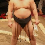 Sumo El