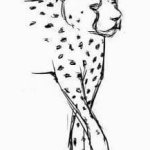 leopard draft