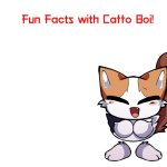 Fun facts with catto boi