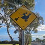 viking riding duck