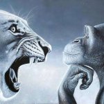 Monkey and Lion