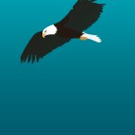 Flying eagle template