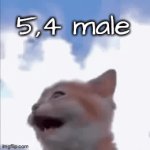 title | 5,4 male | image tagged in gifs,truth | made w/ Imgflip video-to-gif maker