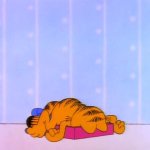 Garfield KO