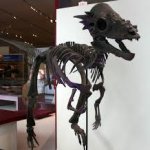 dinosaur