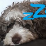 Nova GN!