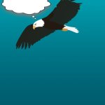 Eagle Eye Observations