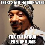 Snoop dogg high on weed | THERE'S NOT ENOUGH WEED; TO GET TO YOUR LEVEL OF DUMB | image tagged in snoop dogg high on weed | made w/ Imgflip meme maker