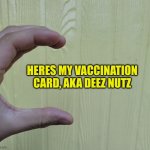 Here’s my card... | HERES MY VACCINATION CARD, AKA DEEZ NUTZ | image tagged in here s my card | made w/ Imgflip meme maker