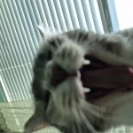 He laughing at you