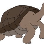 Male Megalochelys (Paleoverse + EOIverse)