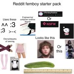 reddit femboy starter pack