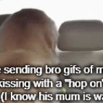 "hop on R.E.P.O" i tell them | Me sending bro gifs of men kissing with a "hop on" caption (I know his mum is watching) | image tagged in gifs,dog | made w/ Imgflip video-to-gif maker