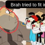 brah tried to fit in meme