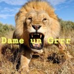 Dame un Grrr | Dame un Grrr | image tagged in dame un grrr | made w/ Imgflip meme maker
