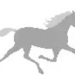 horse GIF Template