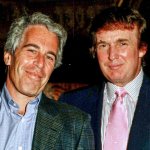 epsteintrumpmeme meme