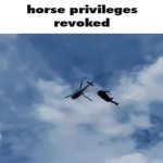 horse revoked GIF Template