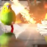 Budgie running from explosion