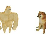 big doge