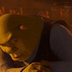 Shreek look