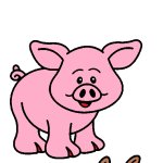 A Pig