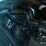Alien Xenomorph face