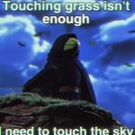 Touching grass isn't enough, I need to touch the sky