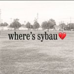 Where's sybau