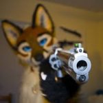 Furry gun