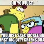 I think Cricket is the absolute best BCG character | DID YOU JUST-; DID YOU JUST SAY CRICKET GREEN IS THE WORST BIG CITY GREENS CHARACTER? | image tagged in blank stare,big city greens | made w/ Imgflip meme maker