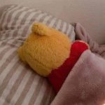Winnie-the-Pooh sleeping