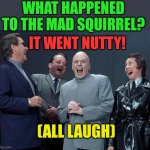 Laughing Villains | WHAT HAPPENED TO THE MAD SQUIRREL? IT WENT NUTTY! (ALL LAUGH) | image tagged in memes,laughing villains,jokes,squirrels | made w/ Imgflip meme maker