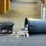 Garbage Can