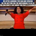 a sneaky little trick ;) | ME AFTER LEARNING YOU CAN ADD SPACING ON THE BOTTOM FOR THE WATERMARK TO GO SO YOU CAN CROP IT OUT WHEN YOU POST IT ELSEWHERE | image tagged in memes,oprah you get a | made w/ Imgflip meme maker