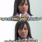 Such a Time Saver | I got an EMO lawn installed; so it will cut itself | image tagged in black woman drinking tea 2 panels,touch grass,smoke grass,don't worry be happy,lawnmower,get off my lawn | made w/ Imgflip meme maker