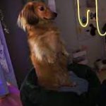 Mother, I must be vertical