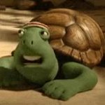 Creature comforts turtle meme