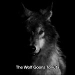 The wolf goons to Futa meme