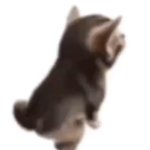 Side el gatito template