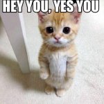 You yes you
