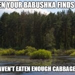 Slavic Lives Matter | WHEN YOUR BABUSHKA FINDS OUT; YOU HAVEN'T EATEN ENOUGH CABBAGE ROLLS | image tagged in slavic lives matter,slm | made w/ Imgflip meme maker