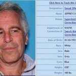 Epstein jail booking