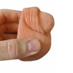 Penis