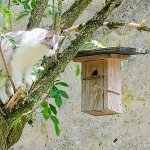 Katzen Drive in