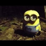 minion staring
