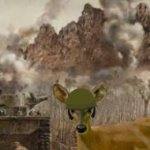 1000 deer stare