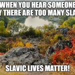 Slavic Lives Matter | WHEN YOU HEAR SOMEONE SAY THERE ARE TOO MANY SLAVS; SLAVIC LIVES MATTER! | image tagged in slavic lives matter,slm,slavic live | made w/ Imgflip meme maker