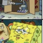 Rich bob sponge